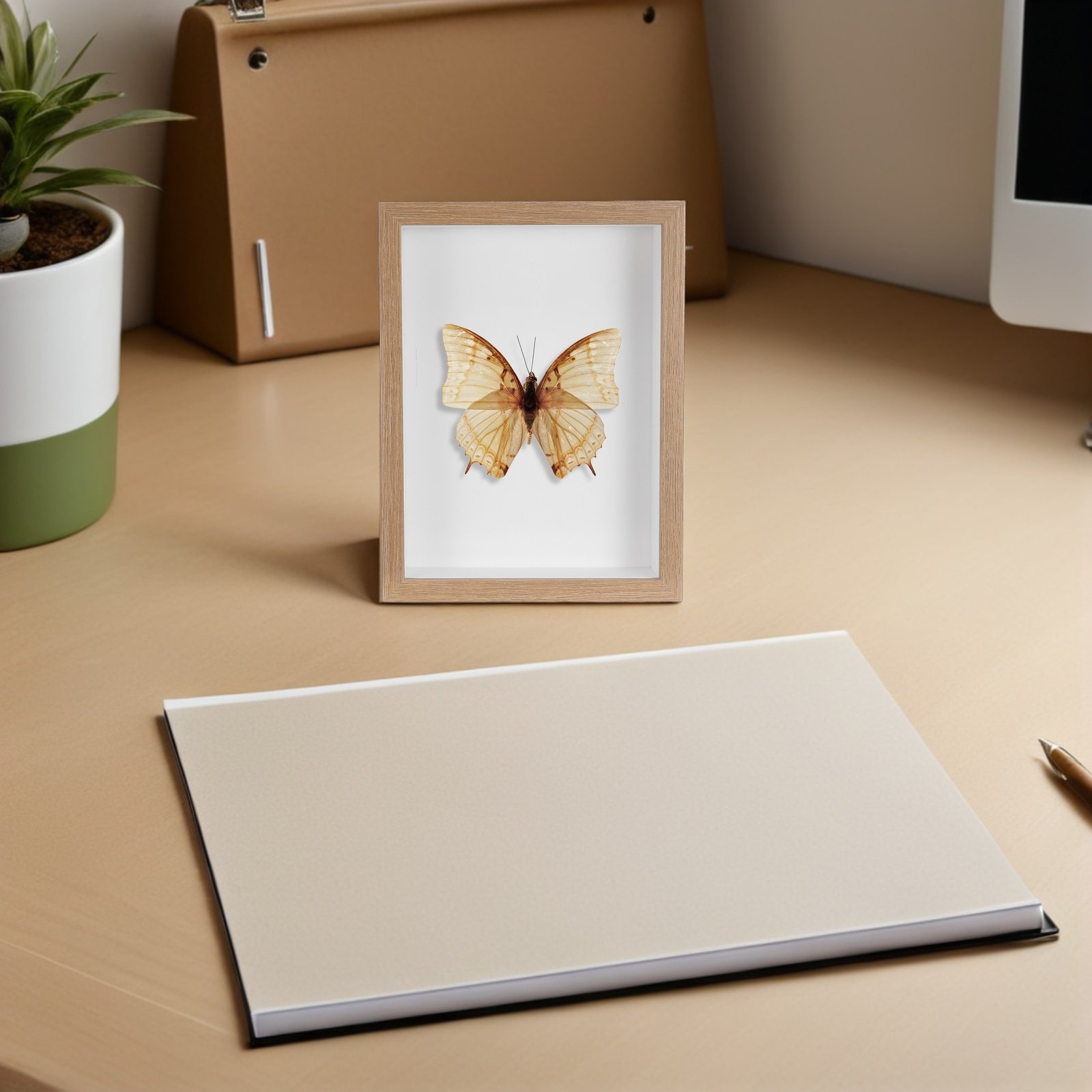 Houten ingelijste insectenpres - Woodworking Show recensie en prijs
