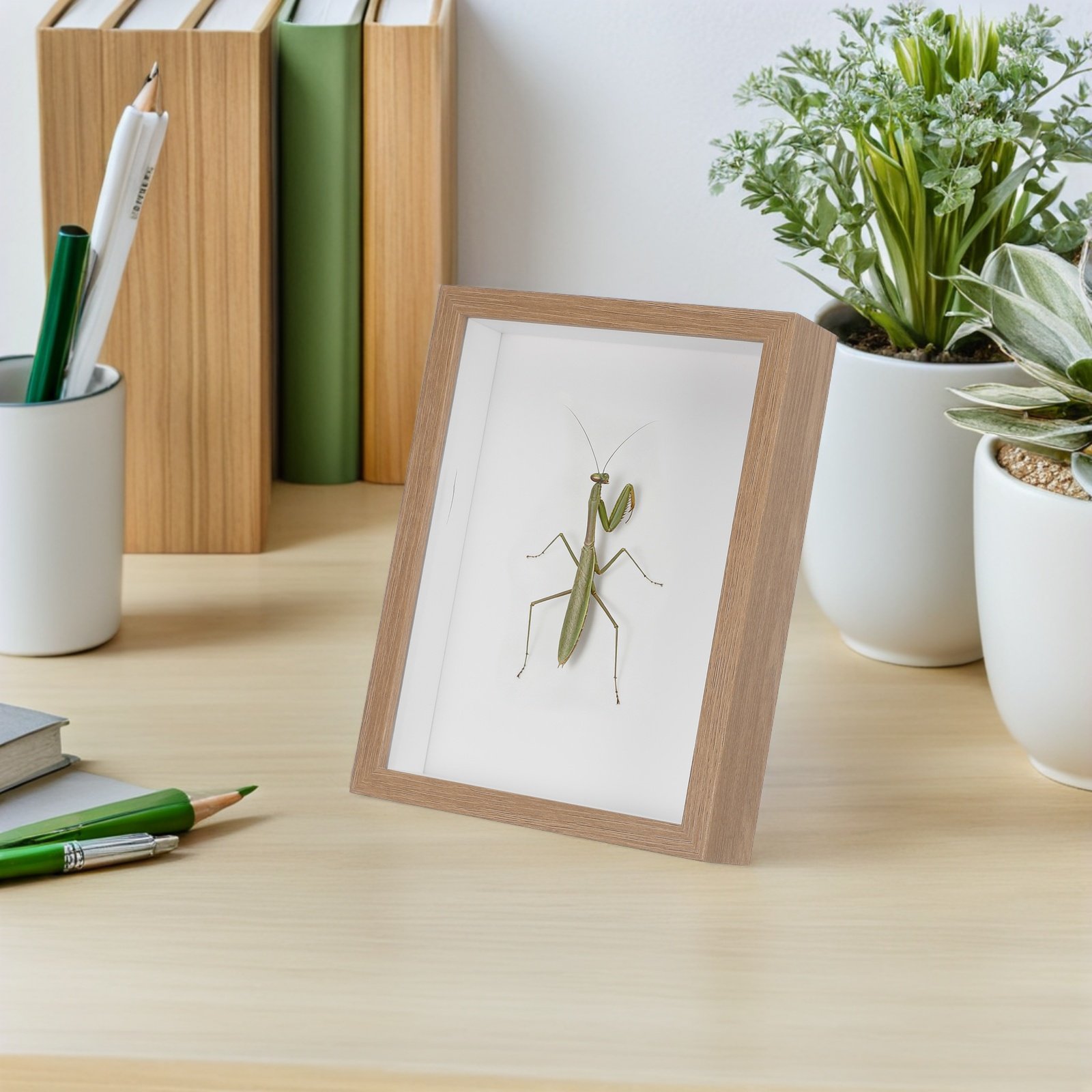 Houten ingelijste insectenpres - Woodworking Show recensie en prijs